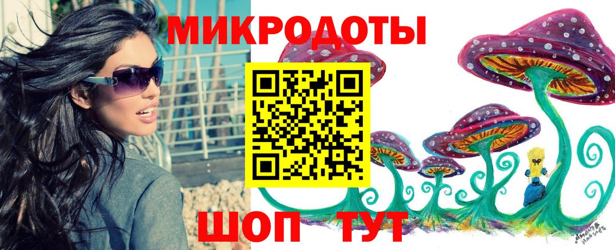 Щёкино  Псилоцибиновые грибы Psilocybine cubensis  Вход с VPN 